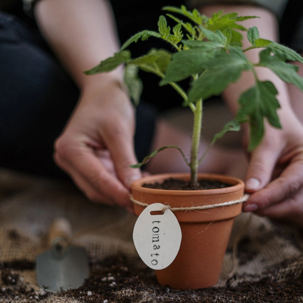 Fotos zeichnen lassen
